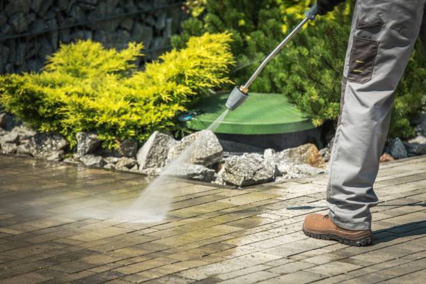 Best Pre-Holiday Cleaning  in Largo, FL